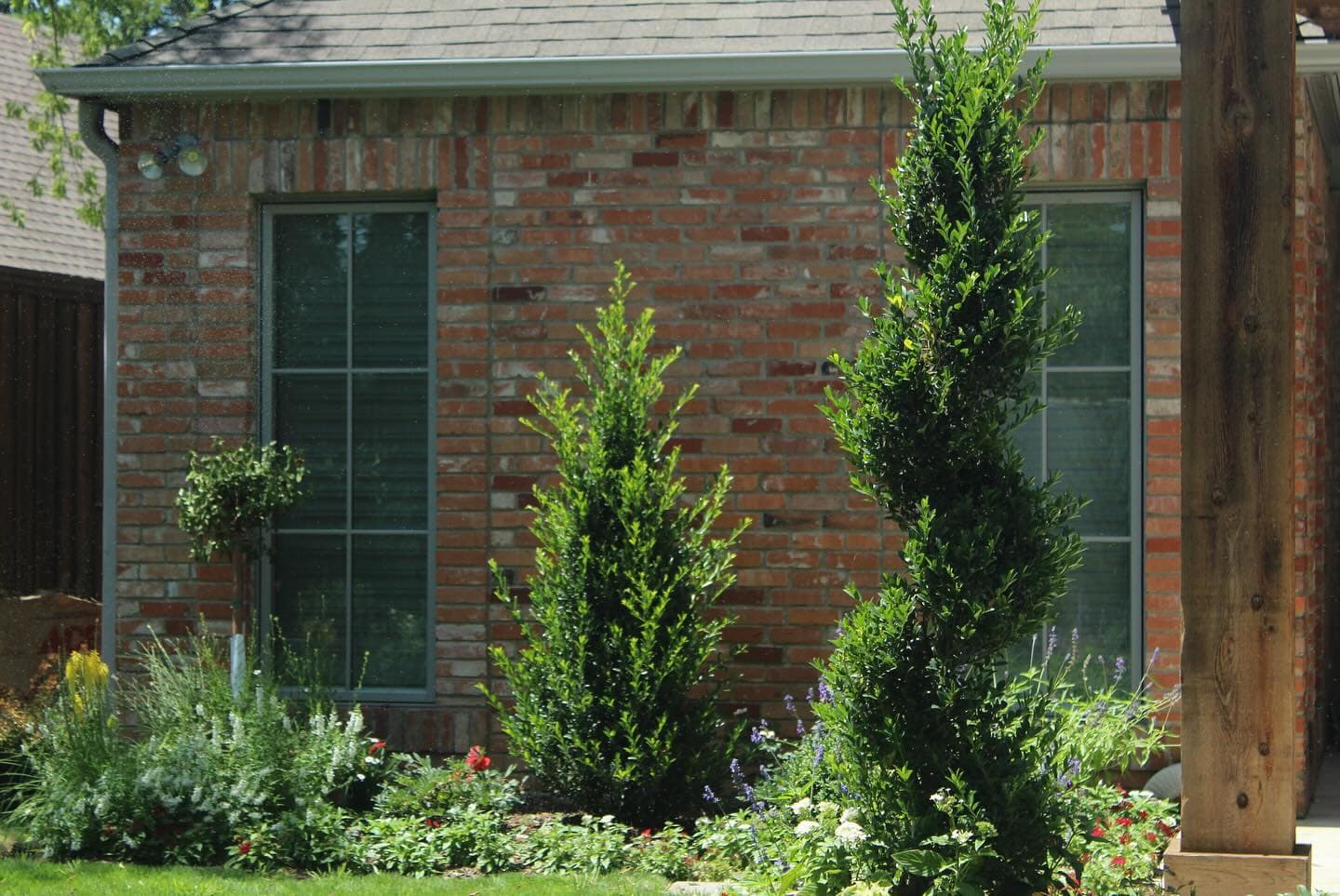 Newport Project, photo 7