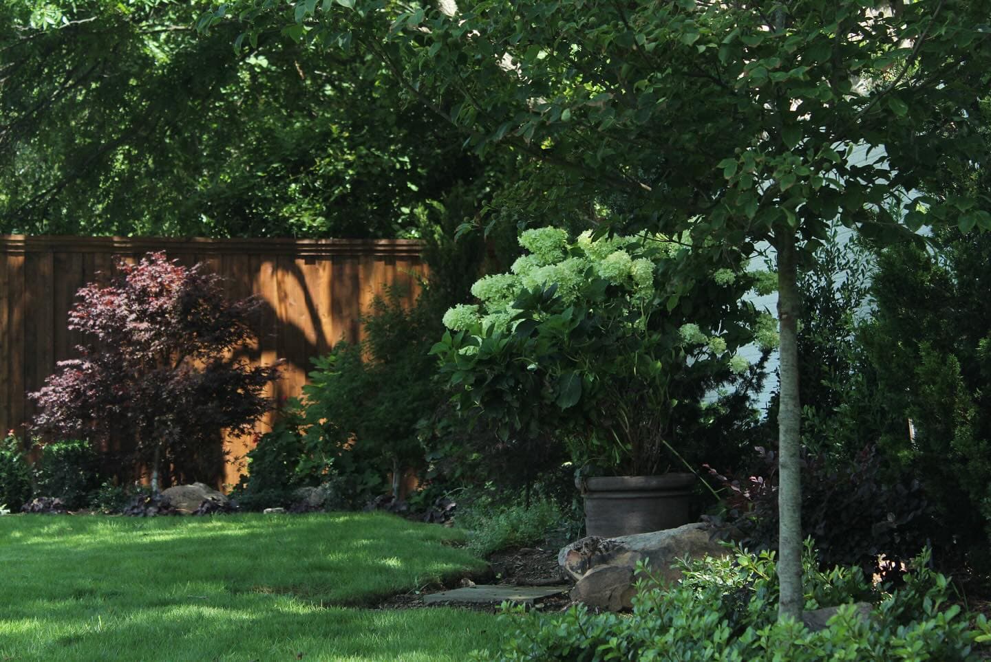 Newport Project, photo 8
