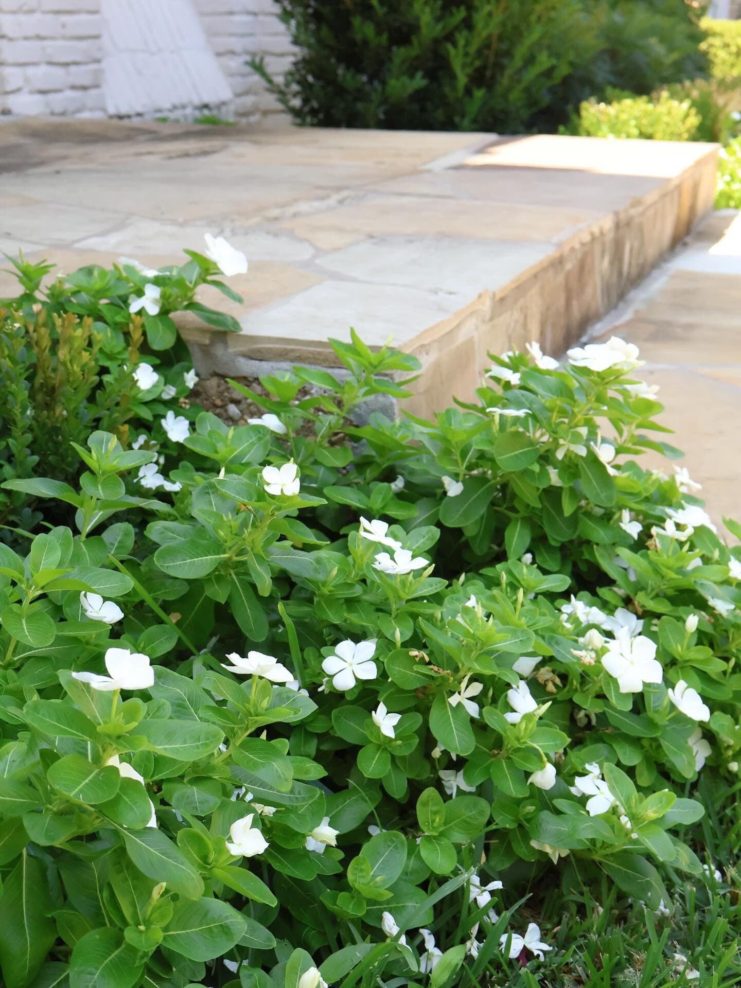 Landscape Design & Installation, photo 2