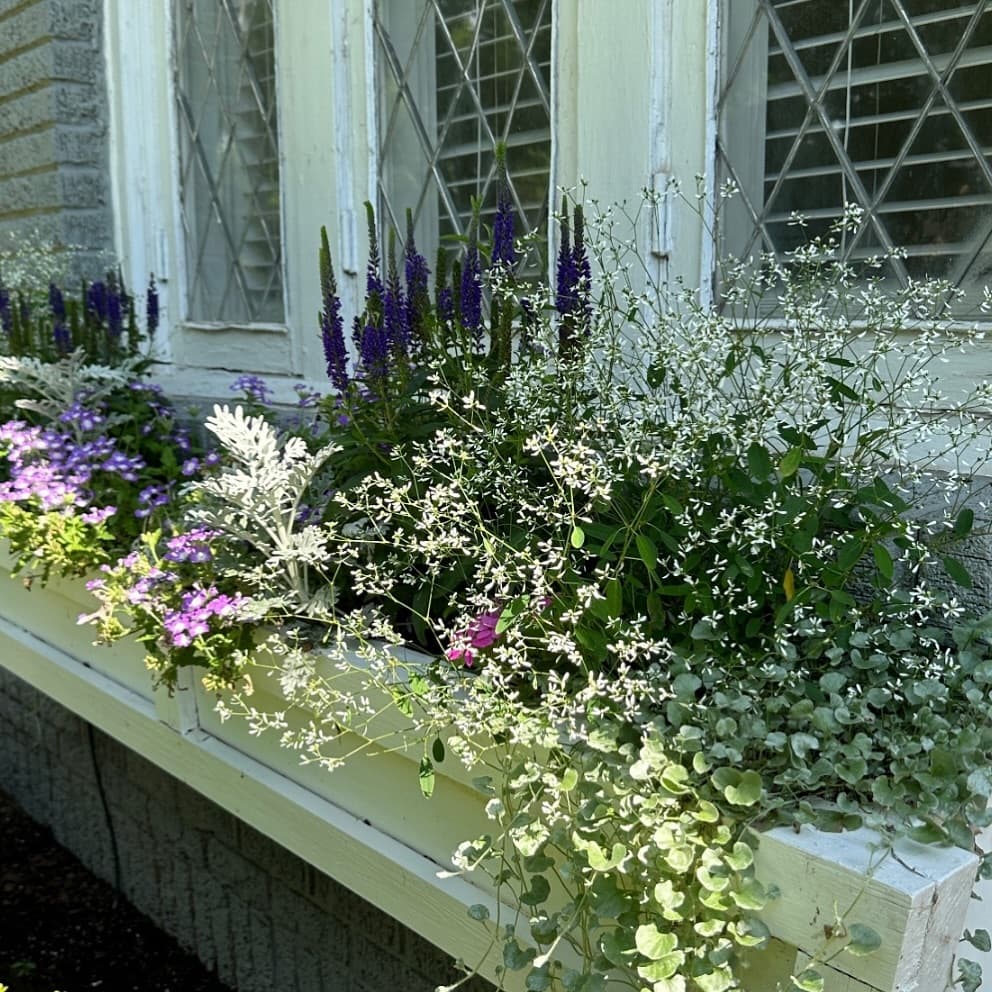 Landscape Design & Installation, photo 4
