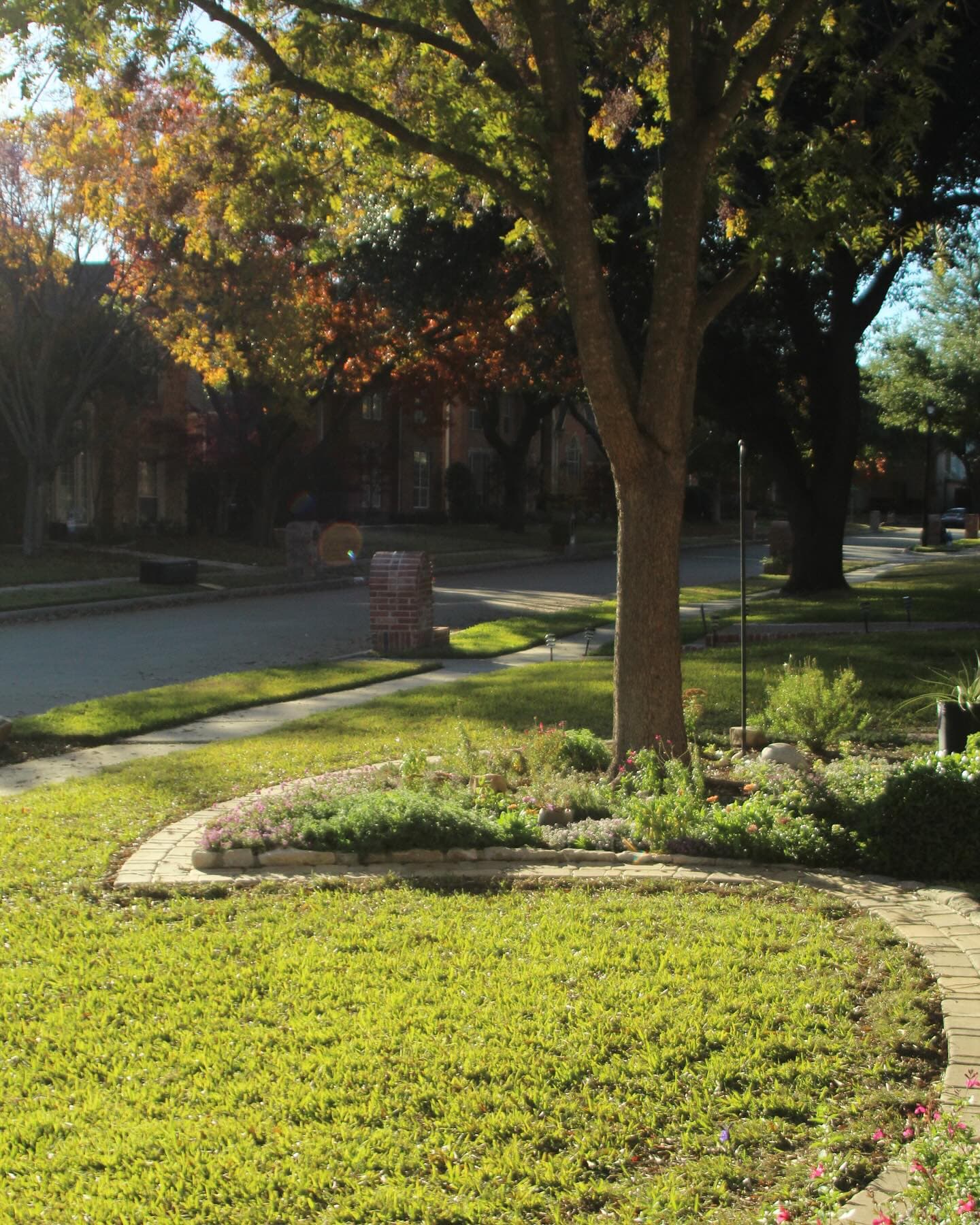 Landscape Design & Installation, photo 7