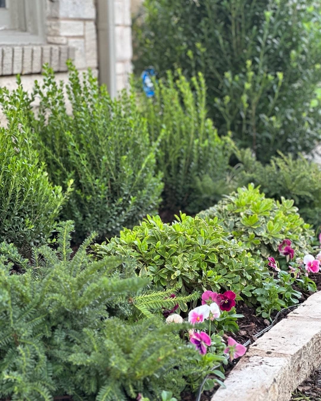 Landscape Design & Installation, photo 8