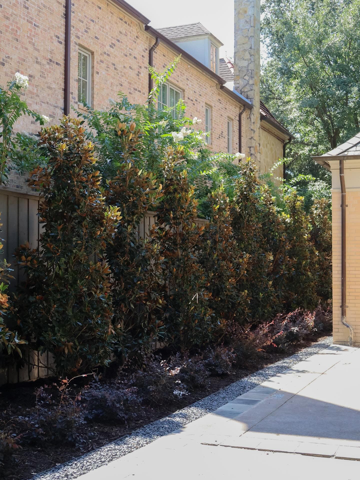 Turf, Privacy Trees & Low-Maintenance Plantings