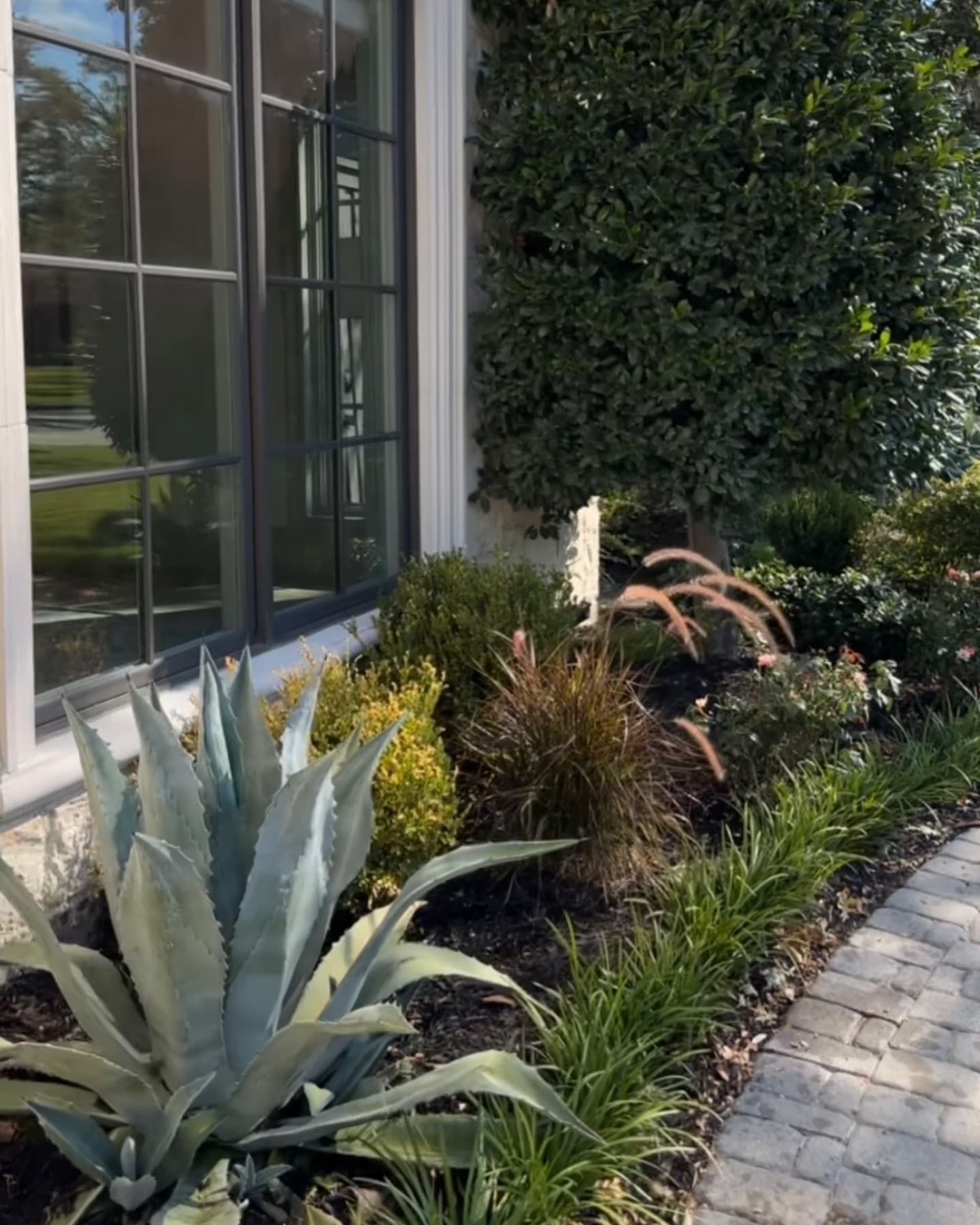 Turf, Privacy Trees & Low-Maintenance Plantings, photo 4